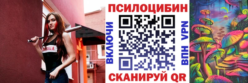 Галлюциногенные грибы Magic Shrooms  купить наркотики цена  Новокузнецк 