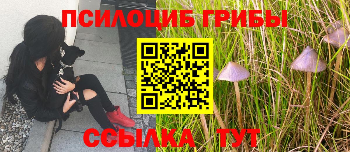 Галлюциногенные грибы прущие грибы Новокузнецк