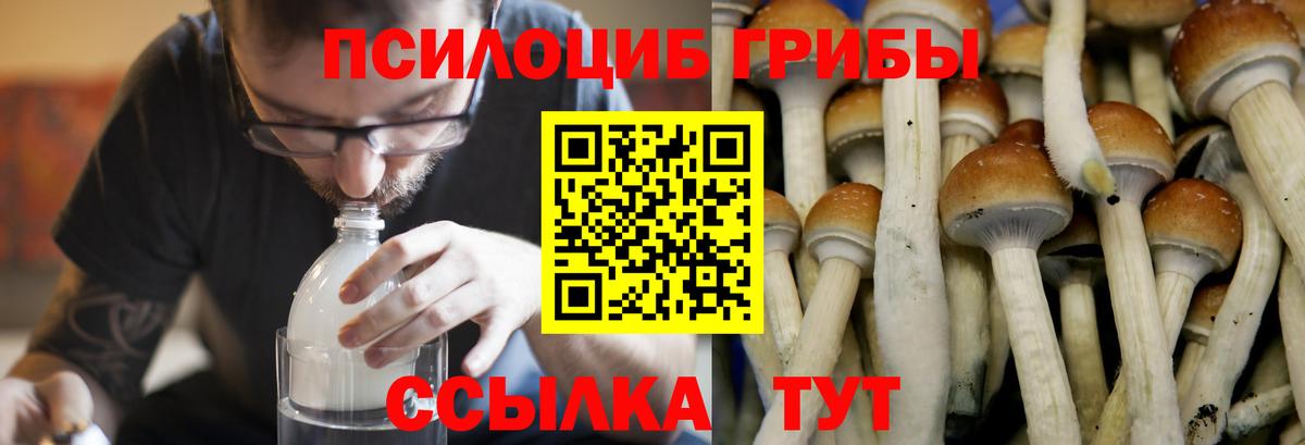 Галлюциногенные грибы мухоморы  Вход с VPN  Новокузнецк  Галлюциногенные грибы Psilocybine cubensis 